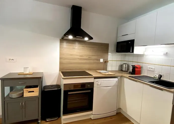 T3 Centre Avec Parking, Balcon Et Wifi. 5p. Cauterets